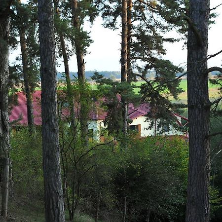 Hotel Rasarit de Soare à Rotbav Extérieur photo